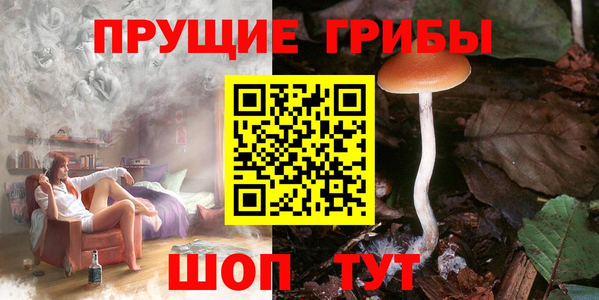 Галлюциногенные грибы Magic Shrooms  Псилоцибиновые грибы Magic Shrooms  Вход с VPN  даркнет сайт  Ялуторовск 